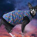 see more listings in the Cat Shirts section