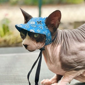 Könnte beinhalten: Eine haarlose Katze trägt einen blauen Bandana-Hut mit weißem und schwarzem Paisley-Druck. Der Hut hat eine Krempe und einen schwarzen Riemen.
