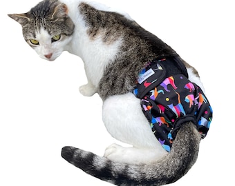 pants for cat