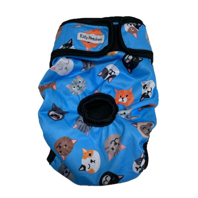 Blue Kitty Knickers Washable Cat Stud Pants Diaper Nappy Undies Underwear Male or Female Reusable Adjustable Feline Physiological Nappies image 2