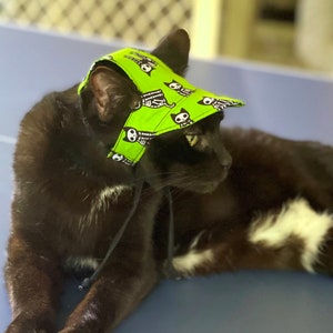Könnte beinhalten: Eine schwarze Katze trägt einen grünen und schwarzen Hut mit Skelett-Muster. Der Hut hat eine breite Krempe und wird mit einem schwarzen Band befestigt.