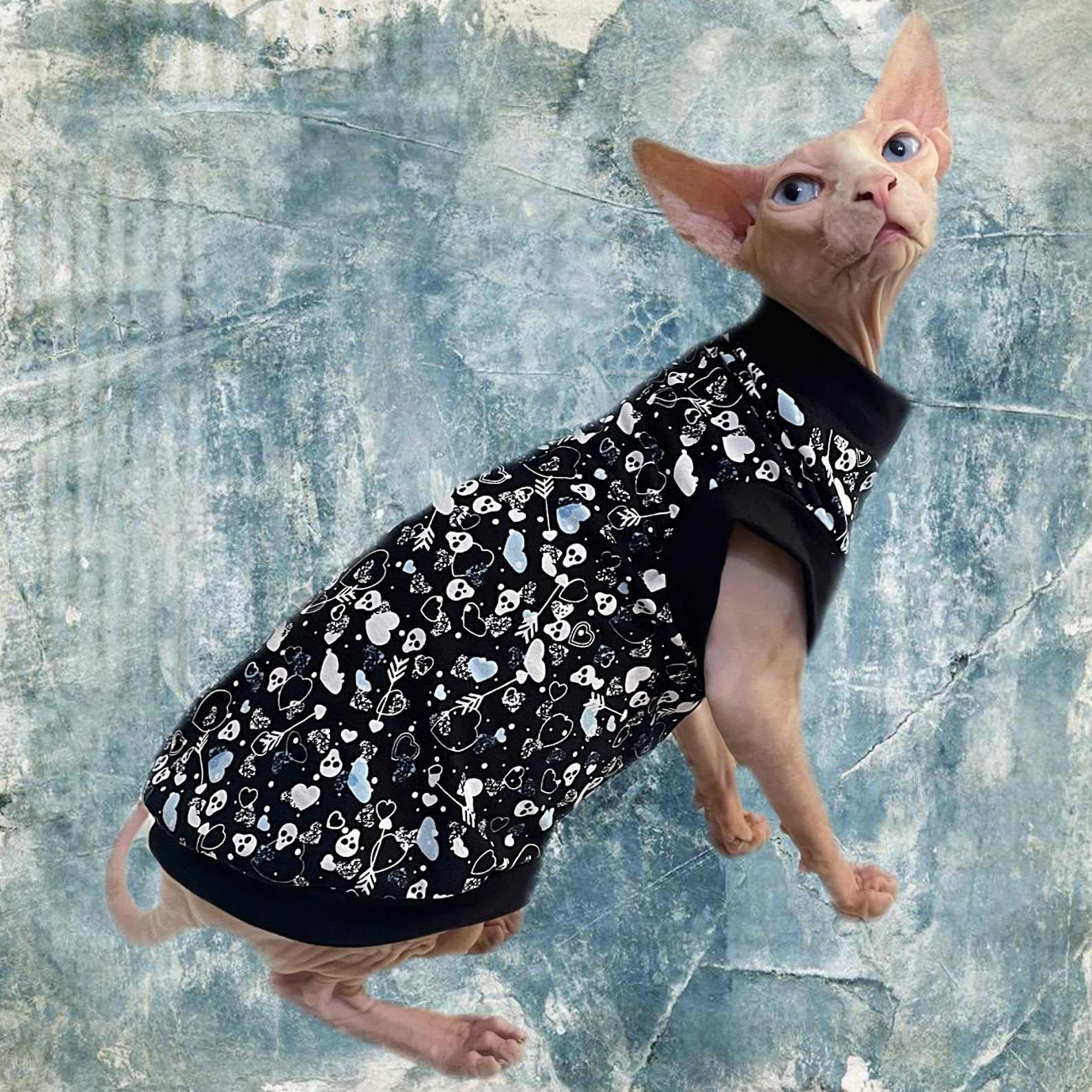 Sphynx Cat Shirt Skulls & Hearts Design Clothes Clothing Etsy