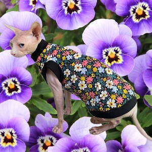 May include: A hairless cat wearing a black sleeveless shirt with a colorful floral print. The cat is standing in a bed of purple pansies.