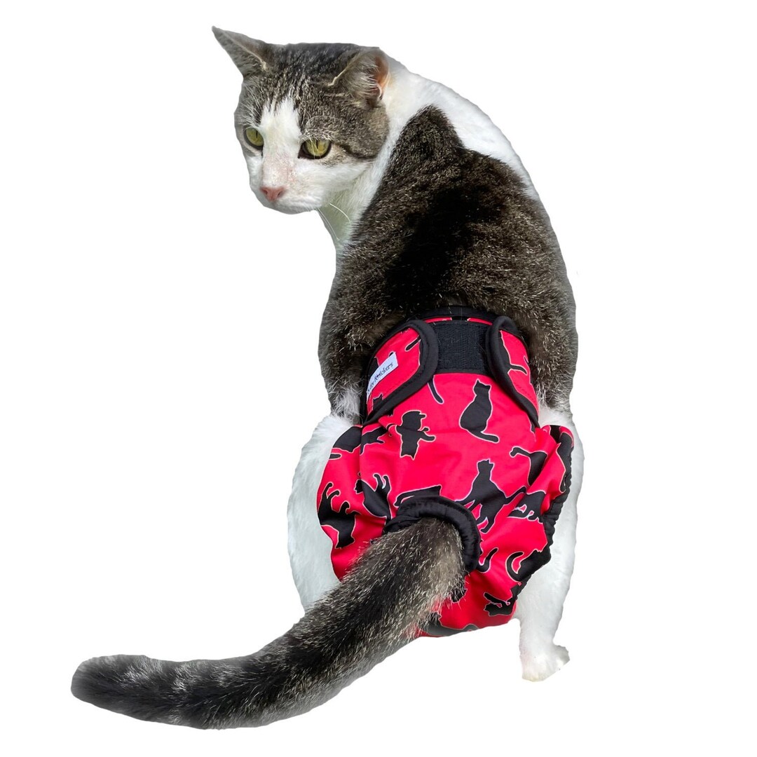 Red Kitty Knickers Washable Cat Stud Pants Diaper Nappy Undies