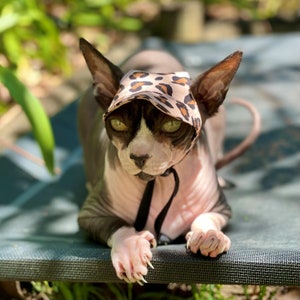 Könnte beinhalten: Eine haarlose Katze trägt einen Sonnenhut mit Leopardenmuster und einem schwarzen Band. Die Katze liegt auf einer grün-schwarzen, gemusterten Oberfläche.