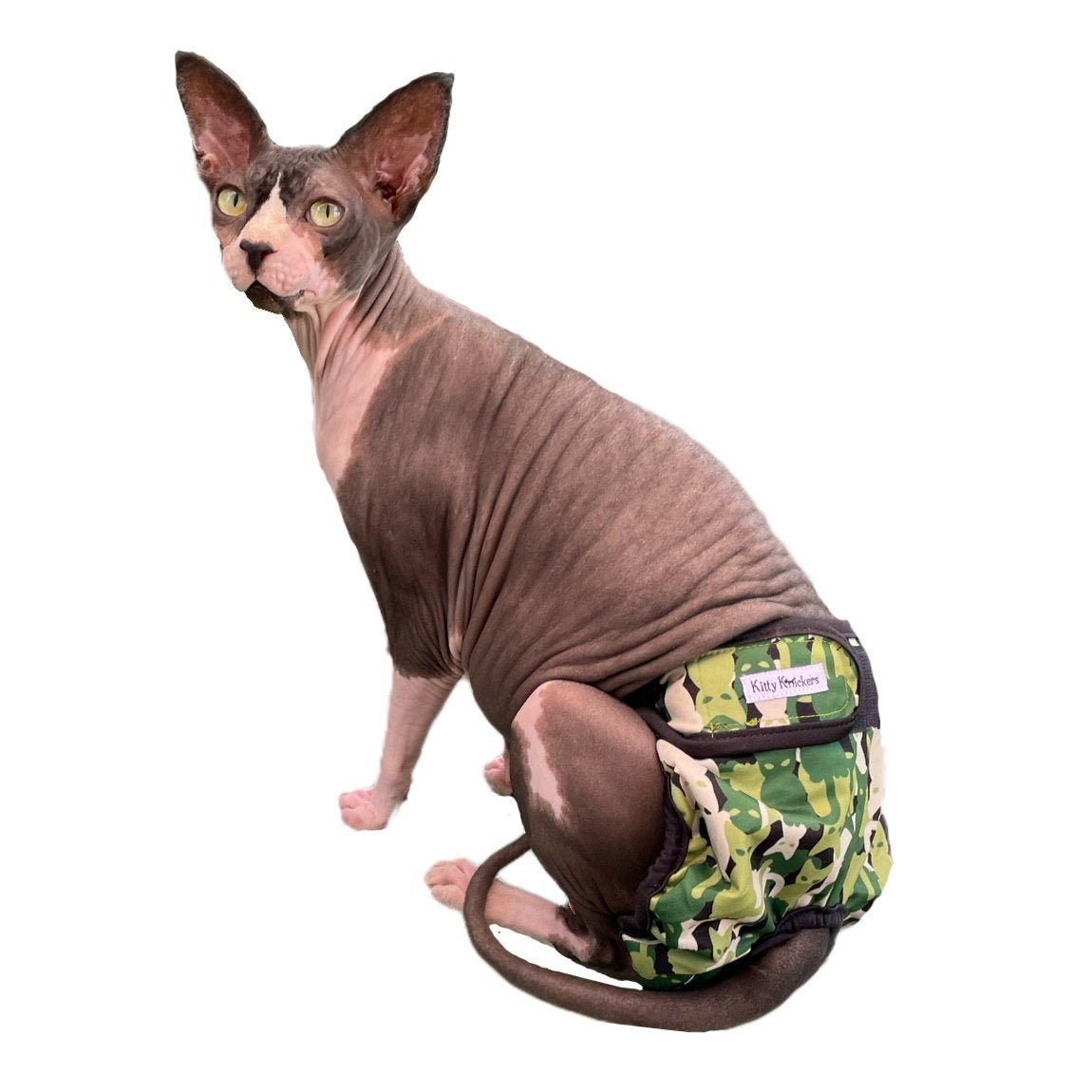 pants for cats