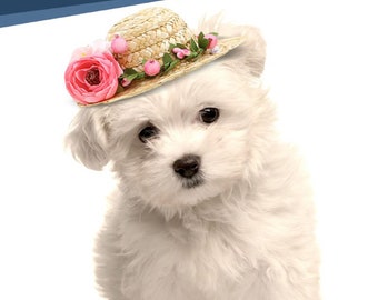 Sombrero de sol con flores para perros, sombrero de verano para gatos, sombrero de paja para mascotas, sombreros de crochet hechos a mano para perros, sombrero con patrón vaquero, gorras para perros pequeños, accesorios para mascotas