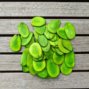 Green Tagua Nut Slices: Top Drilled Vegetal Ivory Beads (15pcs)