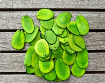 Green Tagua Nut Slices: Top Drilled Vegetal Ivory Beads (15pcs)