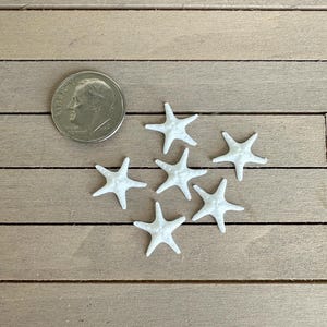 May include: A collection of seven small white starfish on a wooden surface. The starfish are arranged in a cluster, with some overlapping.