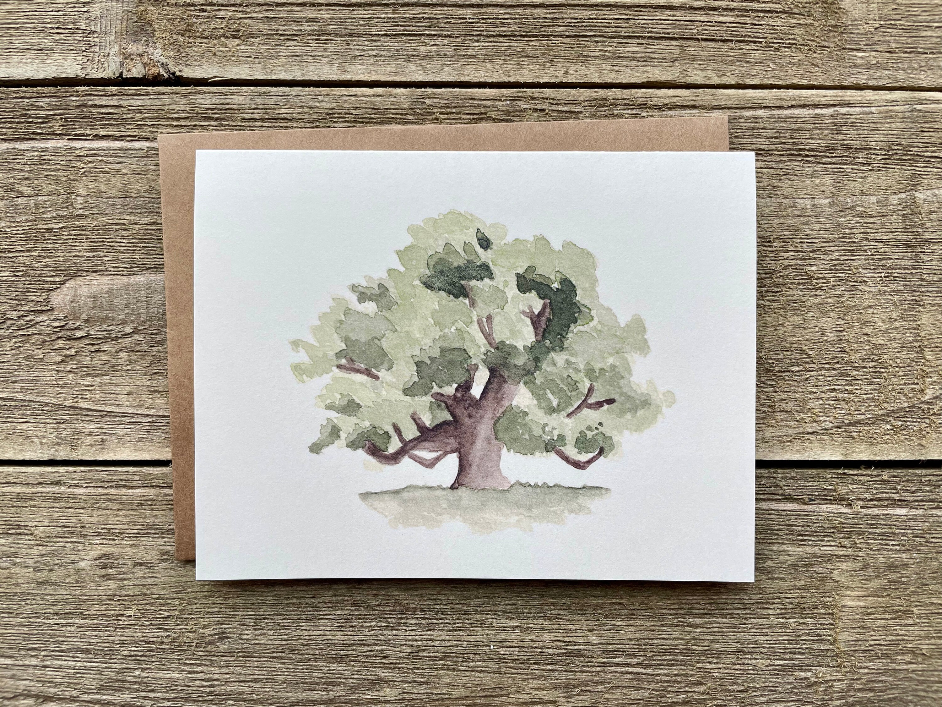 Oak Tree Drawing Note Cards, 4x6