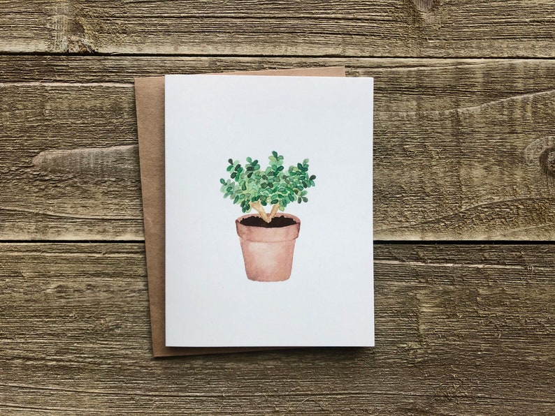 Watercolor House Plant Notecards Hand Painted Set of 4 Watercolor Prints Blank Greeting Cards with Envelopes Plant Stationery image 6