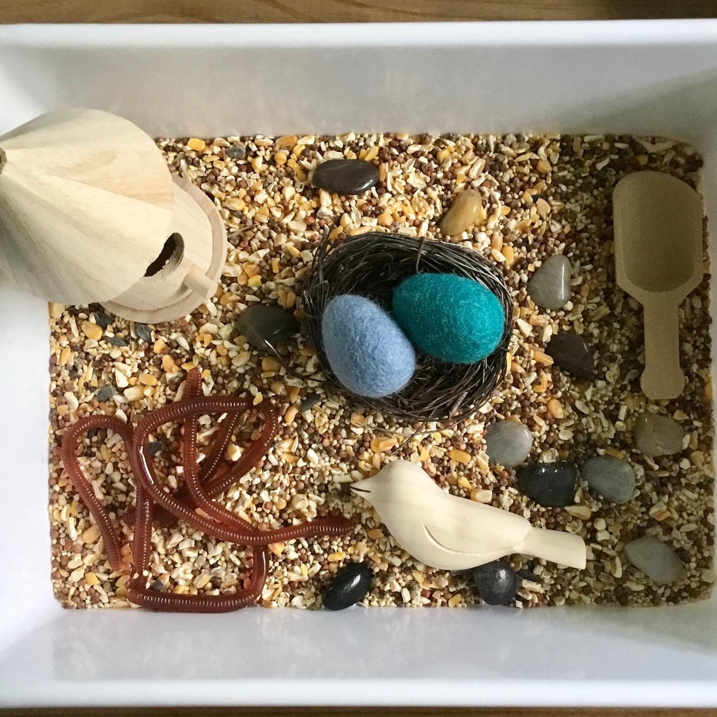 Birds Nest Sensory Bin/bird Sensory Kit/learning Etsy