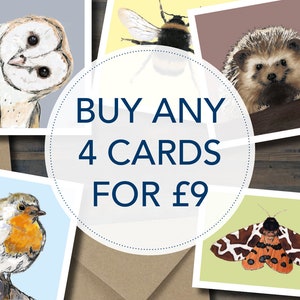 Pack de 4 cartes de vœux | Une collection de cartes de vœux, parfaites pour les amoureux de la faune et les ornithologues amateurs. Convient à toutes les occasions