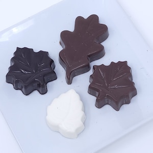 Autumn-Fall Leaves Solid Chocolate (3 boxes)