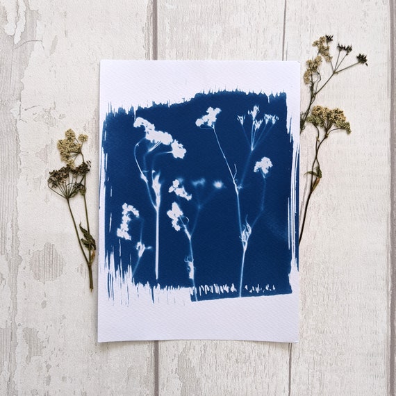 Seasonal Flowers Original handmade Cyanotype