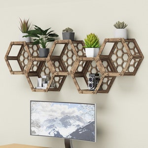 Hexagon Shelves, Honeycomb Plant Shelf, Wall Shelf (5pcs SET) Hexagonica
