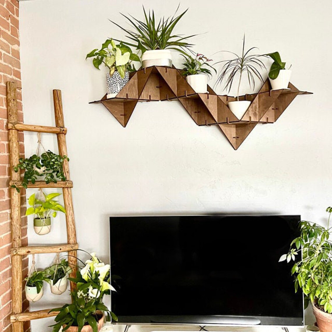 Hanging Plant Shelf Floating Shelf Wall Planter Indoor Art Etsy