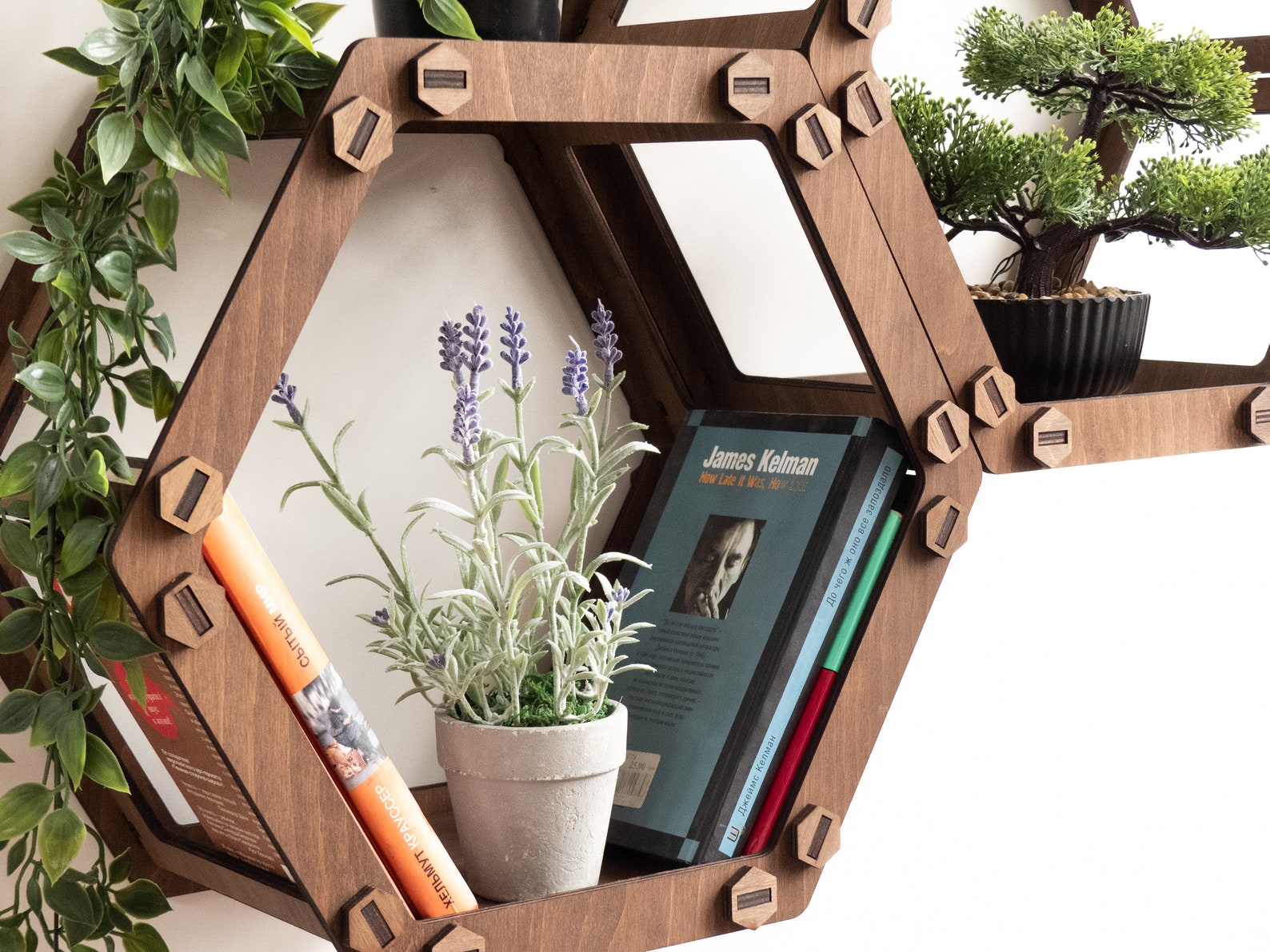 Hexagon Shelves Plant Shelf Wall Shelf 5pcs SET Etsy