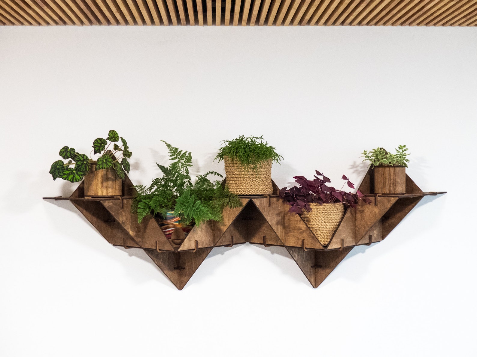 Hanging Plant Shelf Floating Shelf Wall Planter Indoor Art Etsy