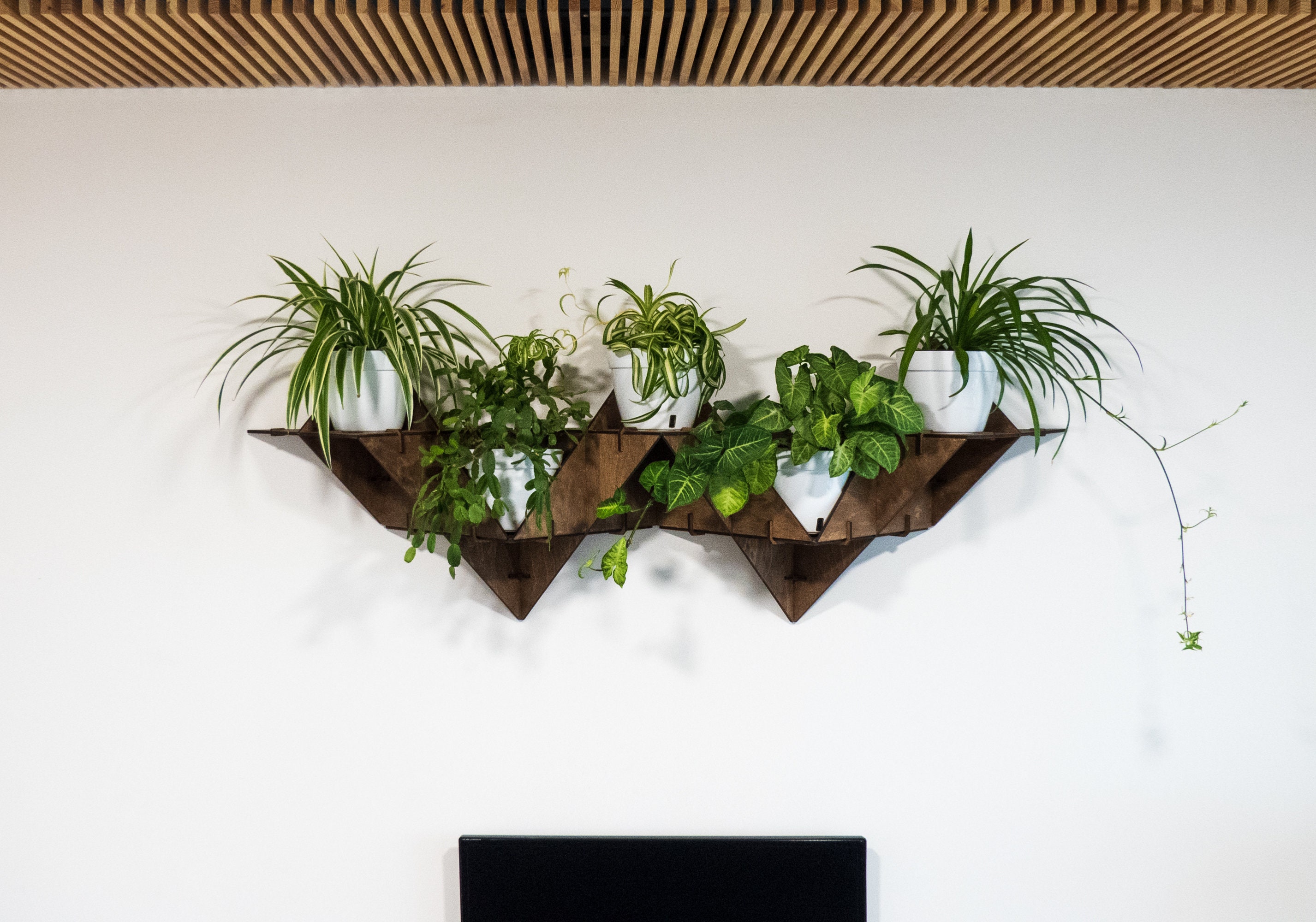 Wall Mounted Plant Shelf ubicaciondepersonas.cdmx.gob.mx
