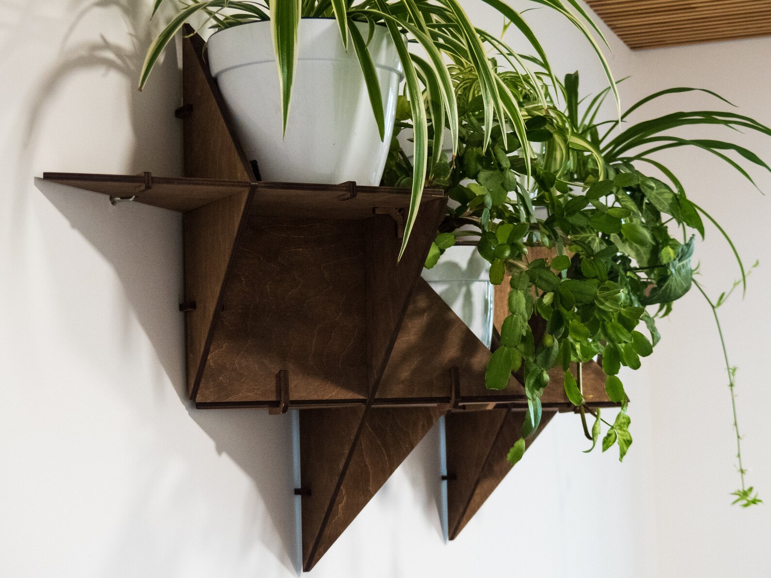 Hanging Plant Shelf Floating Shelf Wall Planter Indoor Art Etsy