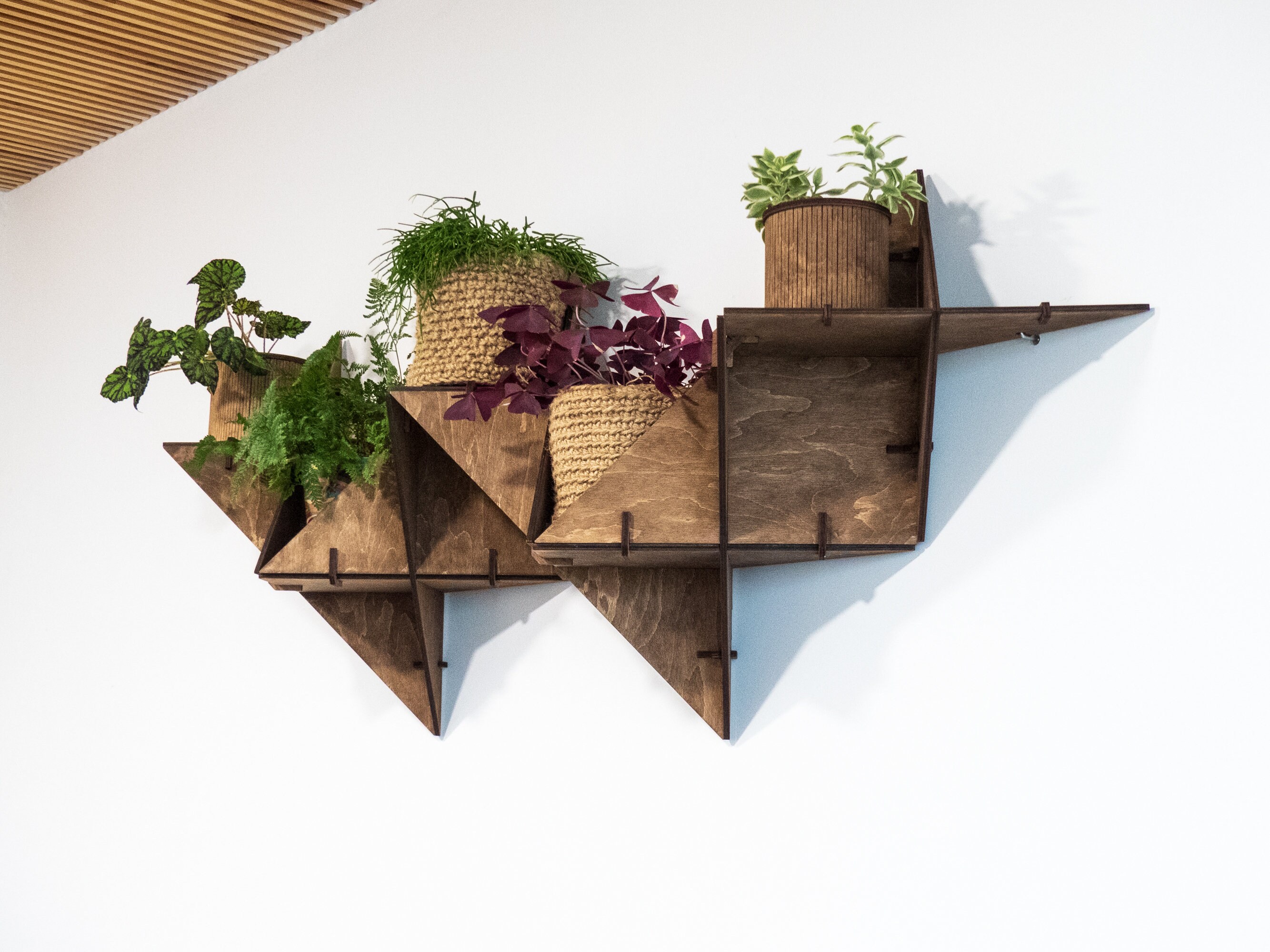 Hanging Plant Shelf Floating Shelf Wall Planter Indoor Art Etsy