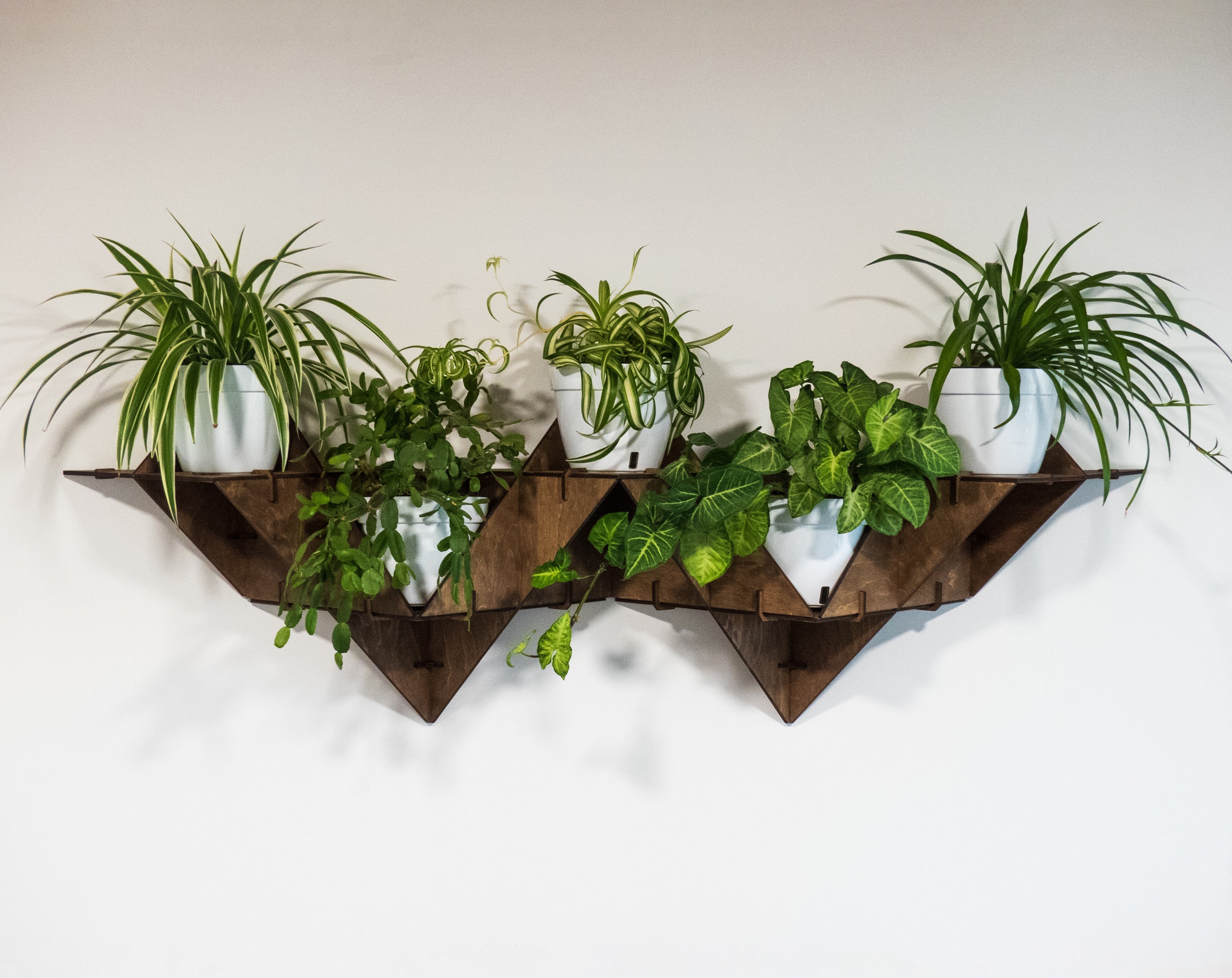 Hanging Plant Shelf Floating Shelf Wall Planter Indoor Art Etsy