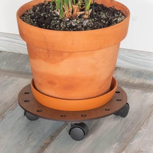Könnte beinhalten: Ein Terrakotta-Blumentopf mit einer Pflanze steht auf einem runden Pflanzenroller aus Holz. Der Roller hat kleine schwarze Räder für eine einfache Bewegung. Der Topf steht auf einer passenden Untertasse aus Terrakotta.
