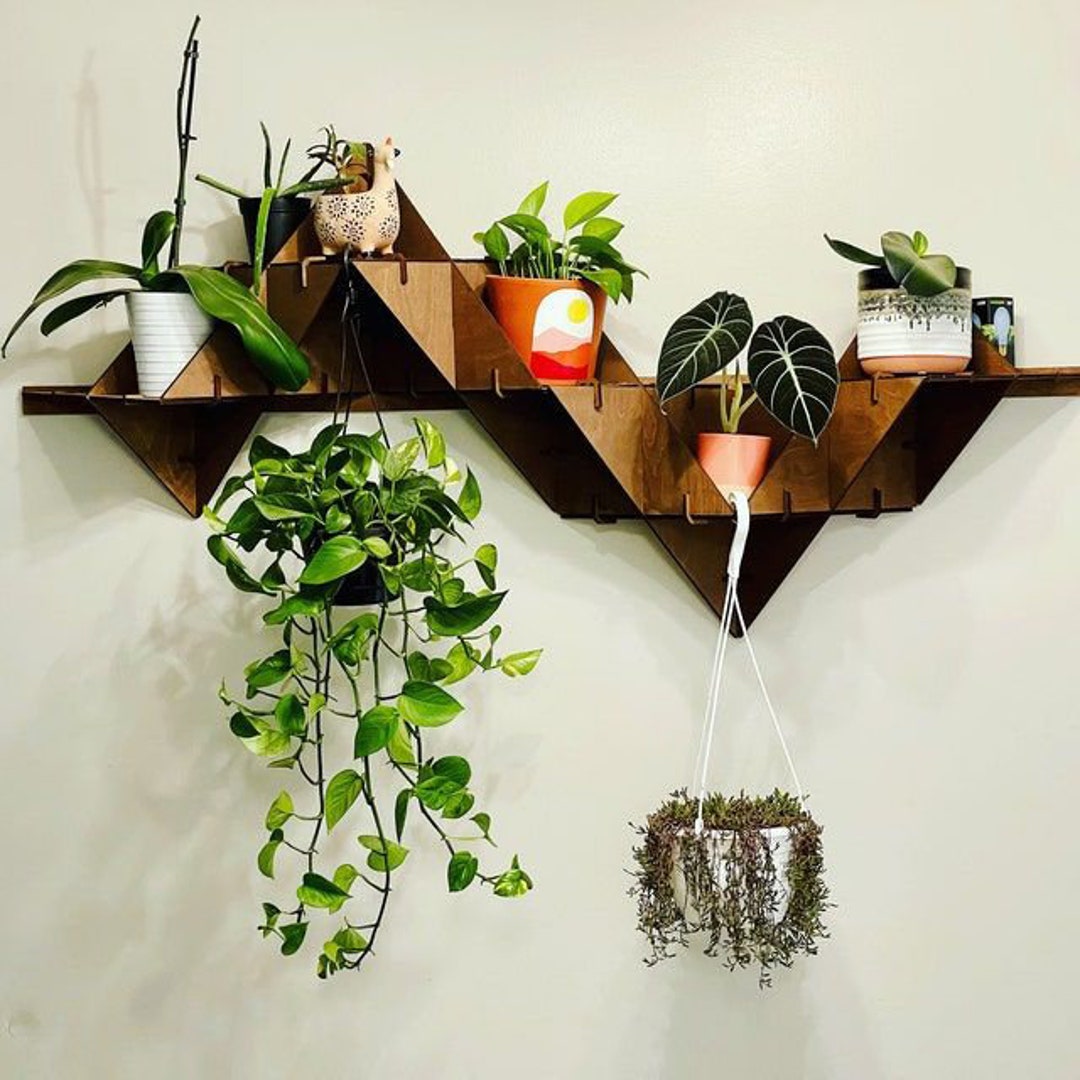 Hanging Plant Shelf Floating Shelf Wall Planter Indoor Art Etsy