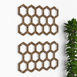 Honeycomb Plywood Wall Trellis: Set of Two Indoor Plant Supports