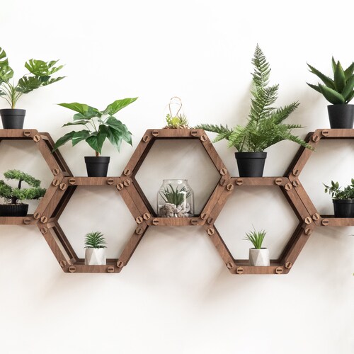 Hexagon Shelves Plant Shelf Wall Shelf 5pcs SET Etsy