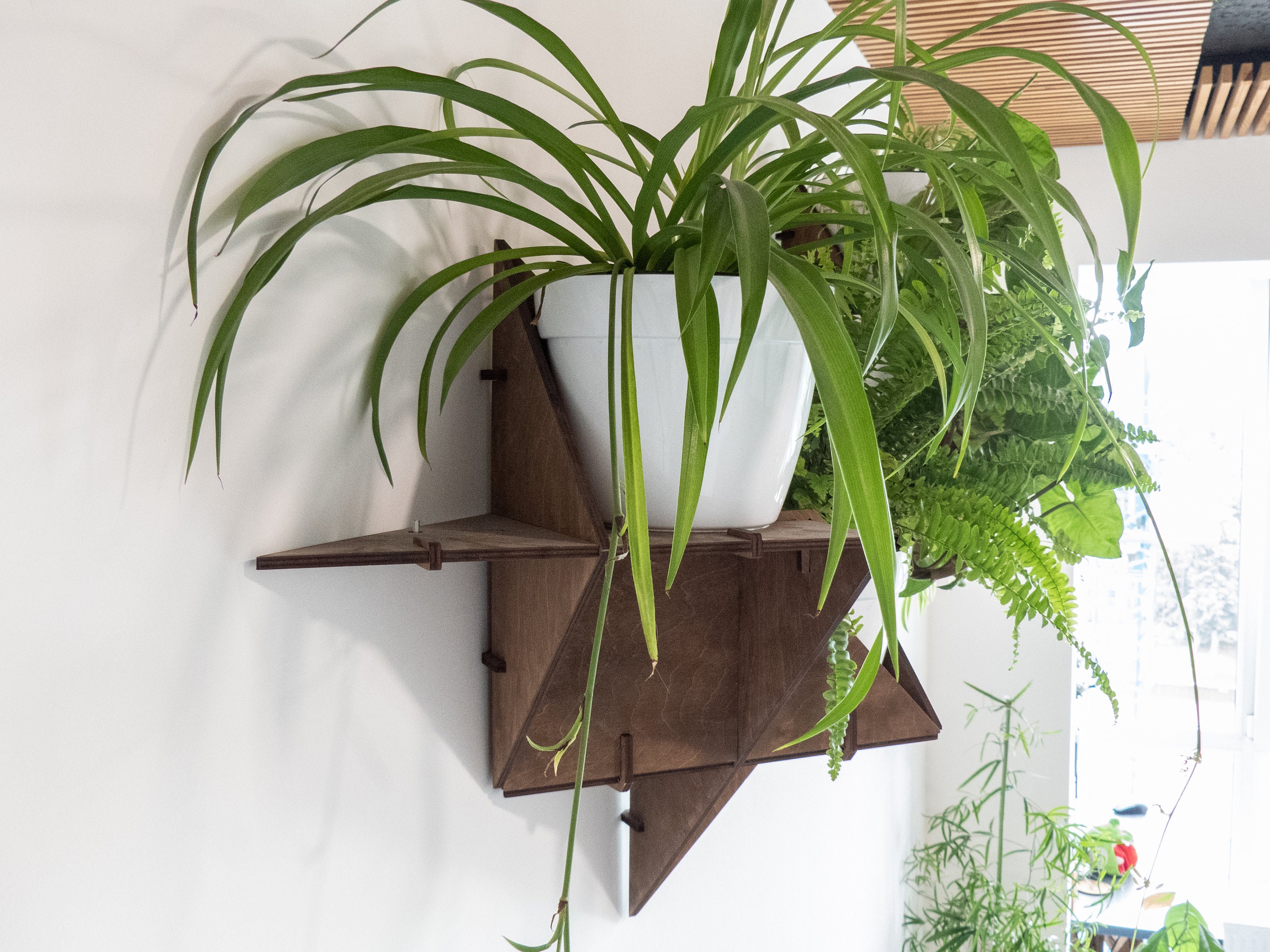 Hanging Plant Shelf Floating Shelf Wall Planter Indoor Art Etsy