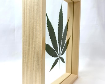 Real Pressed Cannabis Hemp Leaf Picture Wood Float Frame Nature Wall Art Weed Hemp Leaf Tropical Home Décor Custom 420 Housewarming Gift