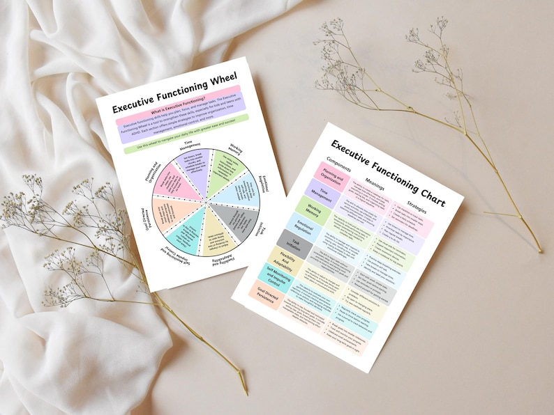 Adhd Executive Functioning Skills Chart for Educators, Executive ...