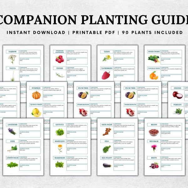 Ultimate Companion Planting Guide, 90 Plants Included, Garden Planner, Plant Planner, Garden Journal, Garden Organizer, Plants Records