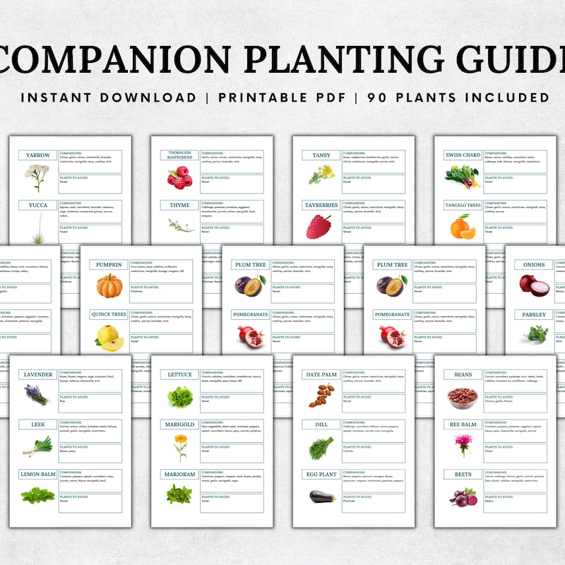 Vegetable Companion Planting Guide.pdf Companion Planting Guide - Etsy