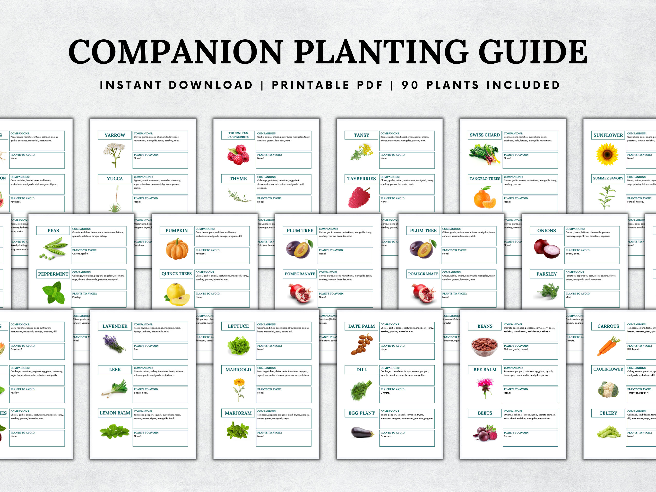 Ultimate Companion Planting Guide, 90 Plants Included