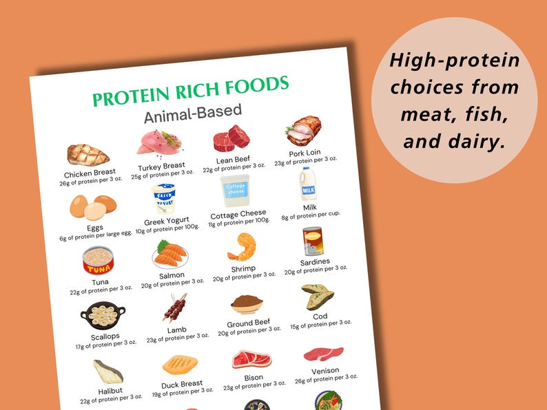 Puede incluir: Un gr&aacute;fico blanco con el t&iacute;tulo "Alimentos ricos en prote&iacute;nas: De origen animal" enumera varias fuentes de prote&iacute;nas de origen animal con su contenido de prote&iacute;nas correspondiente por 3 onzas. El gr&aacute;fico incluye im&aacute;genes de pechuga de pollo, pechuga de pavo, carne de res magra, lomo de cerdo, huevos, yogur griego, queso cottage, leche, at&uacute;n, salm&oacute;n, camarones, sardinas, vieiras, cordero, carne molida, bacalao, halibut, pechuga de pato, bisonte y venado.