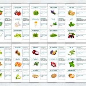 May include: A chart with illustrations of various fruits, vegetables, and herbs, along with their companion and avoid plants. The chart is divided into sections with each section featuring a different plant. The chart is on a white background with green borders.