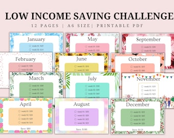 A6 Spar-Challenge: Monatlicher Geld-Tracker zum Ausdrucken (Digitaler Download)