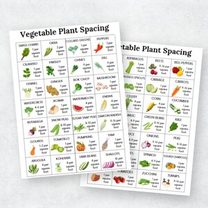 K&ouml;nnte beinhalten: Eine bunte Tabelle mit Illustrationen verschiedener Gem&uuml;sesorten und deren empfohlenen Abst&auml;nden in Quadratfu&szlig;. Die Tabelle tr&auml;gt den Titel "Vegetable Plant Spacing".