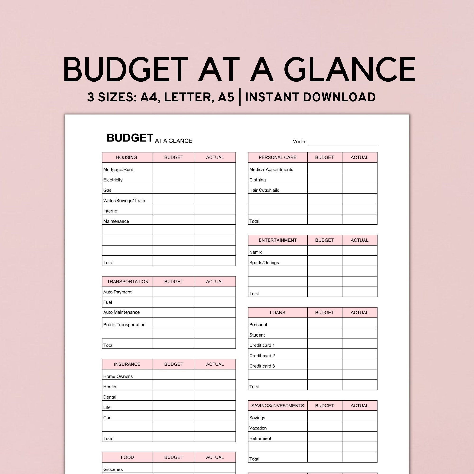 Monthly Budget at a Glance Budget Planner Template Biweekly | Etsy