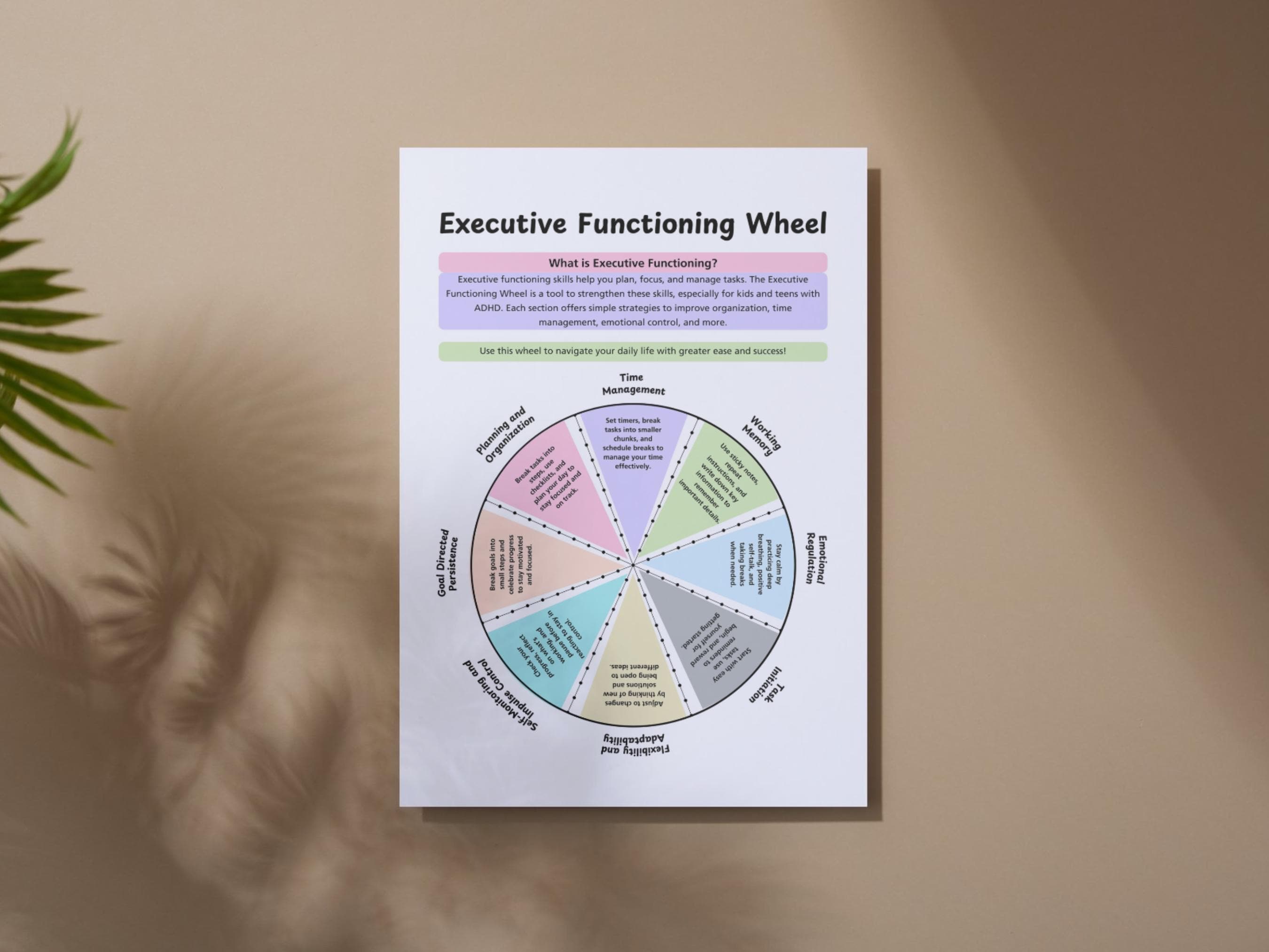 Adhd Executive Functioning Skills Chart for Educators, Executive ...