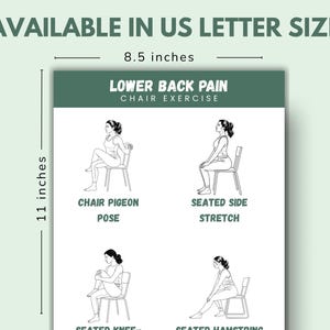 Chair Exercises for Lower Back Pain Relief: Seated Stretches (Printable PDF Guide) image 7