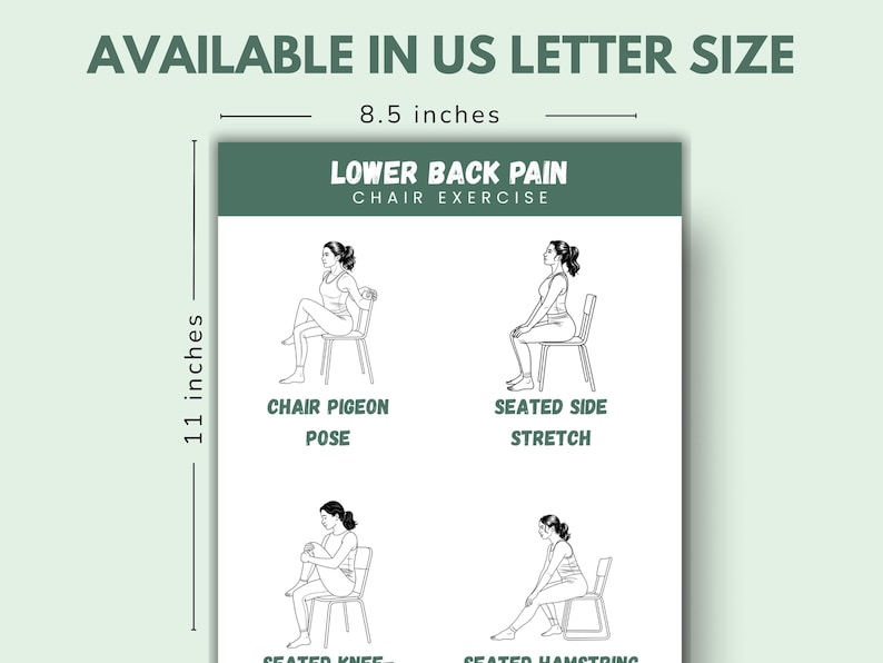 Chair Exercises for Lower Back Pain Relief: Seated Stretches (Printable PDF Guide) image 7