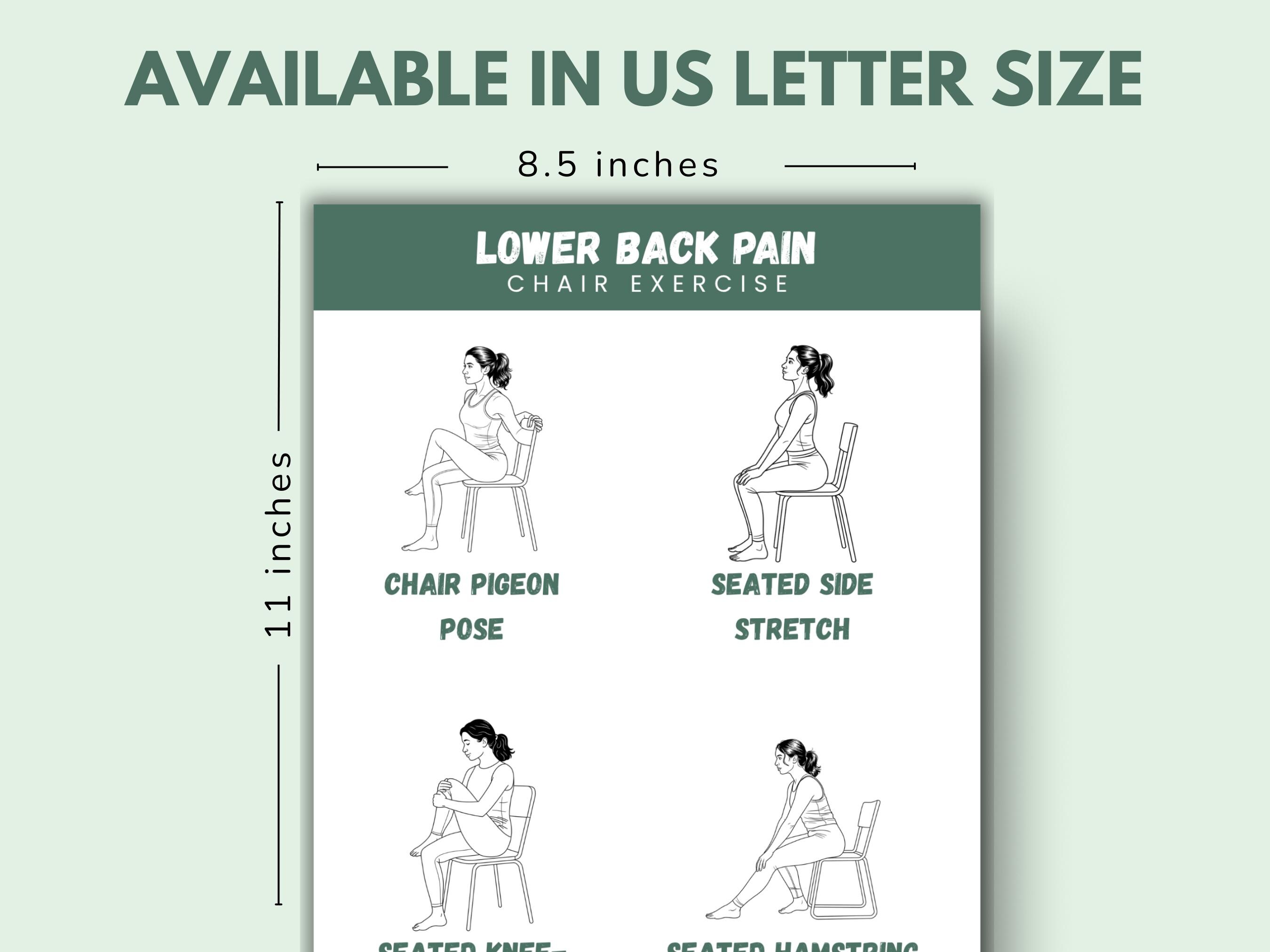 Chair Exercises for Lower Back Pain Relief: Seated Stretches (printable ...