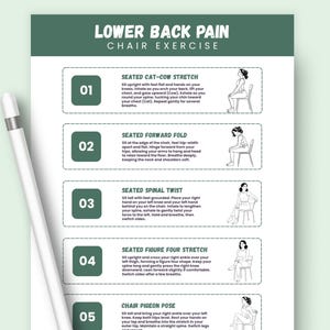 Chair Exercises for Lower Back Pain Relief: Seated Stretches (Printable PDF Guide) image 4