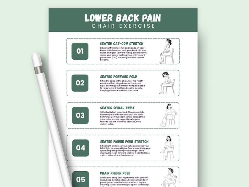 Chair Exercises for Lower Back Pain Relief: Seated Stretches (Printable PDF Guide) image 4