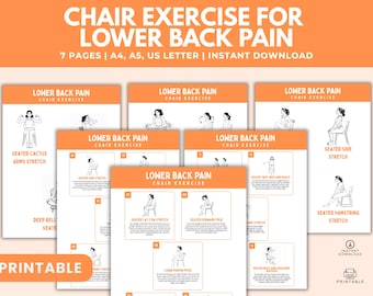 Chair Exercises for Lower Back Pain Relief: Seated Stretches (Printable PDF Guide)